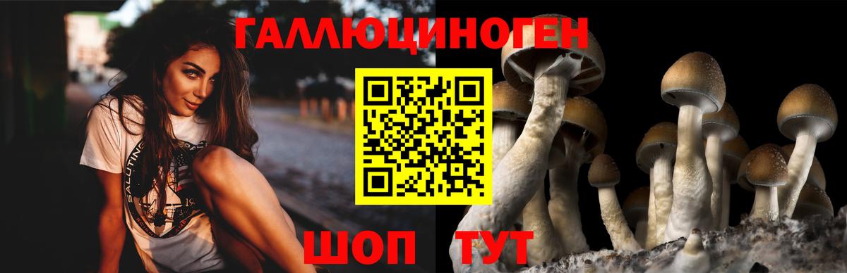 Похвистнево  Галлюциногенные грибы Magic Shrooms  Вход с VPN 